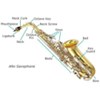 saxophone hinh 1
