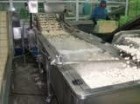 Thiết bị sục rửa P-QXJ04