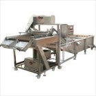 Máy rửa quả dạng con lăn bàn chải P-QXL03